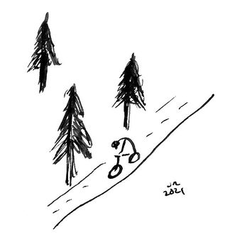 ffl bike and pines  1.jpg