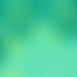 第50回メールマガジン