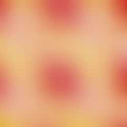 今年の抱負!
New Years Ambition!