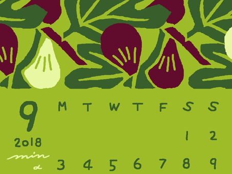 第16回メールマガジン