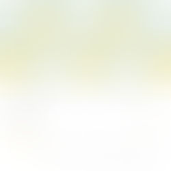 第１１回メールマガジン