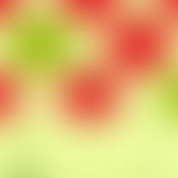 第39回メールマガジン