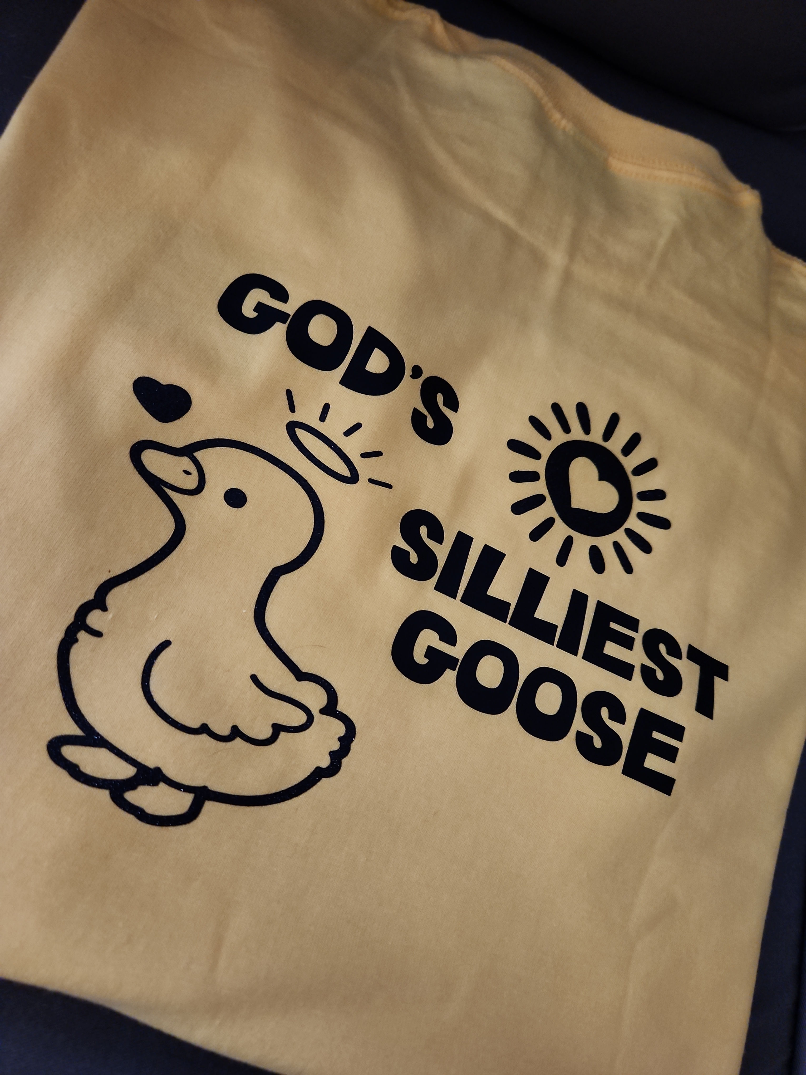 God's Silliest Goose