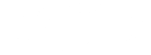Strength In Stories Logo (2)_edited.png