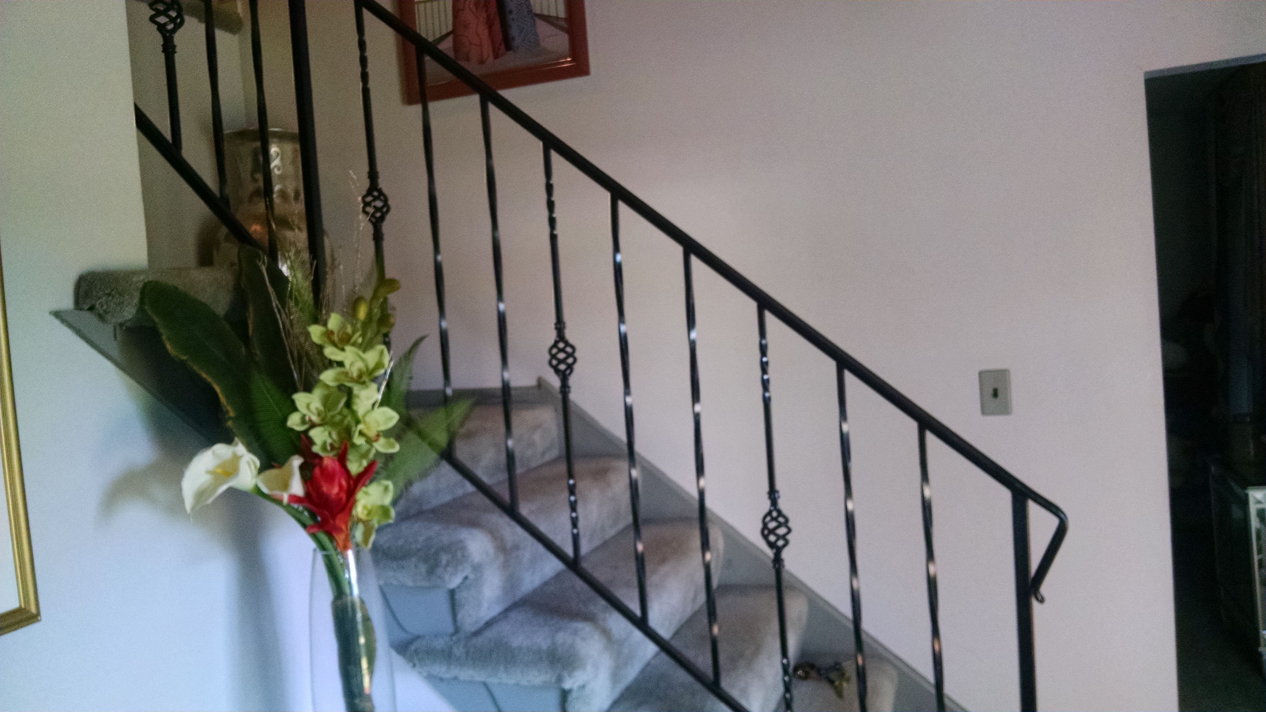 Interior rail w/ bird basket