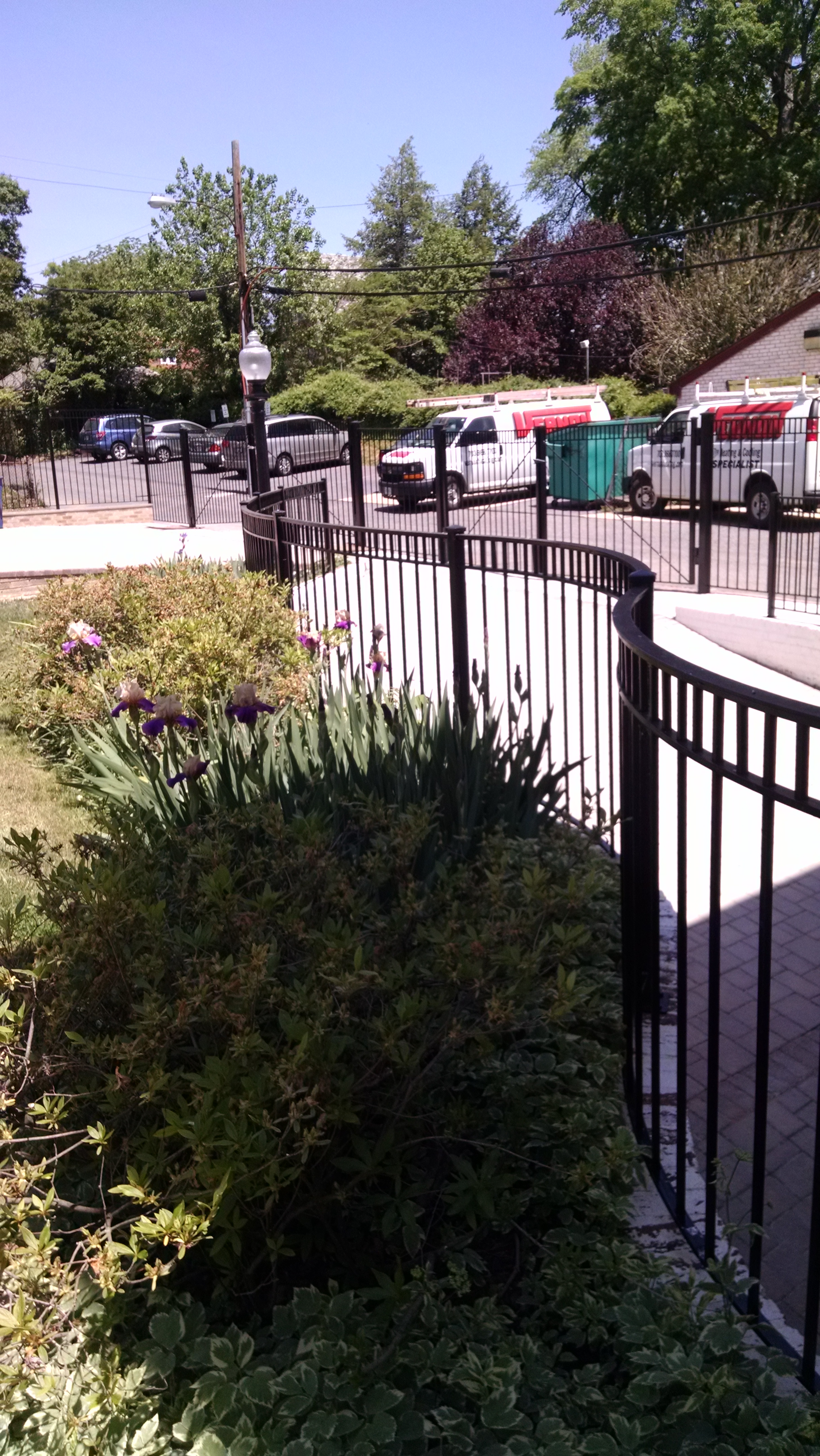 Curved fence