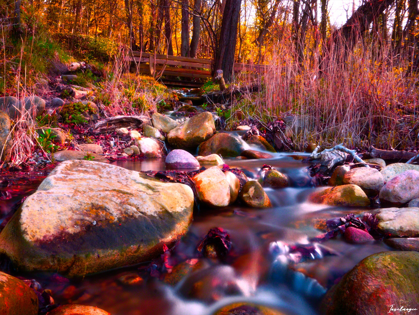 360 am kleinen Bach von Nardevitz