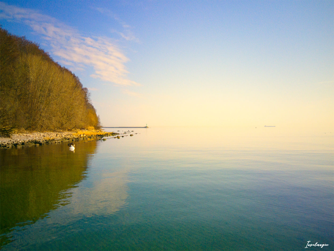 443  Morgenstimmung am alten Strand