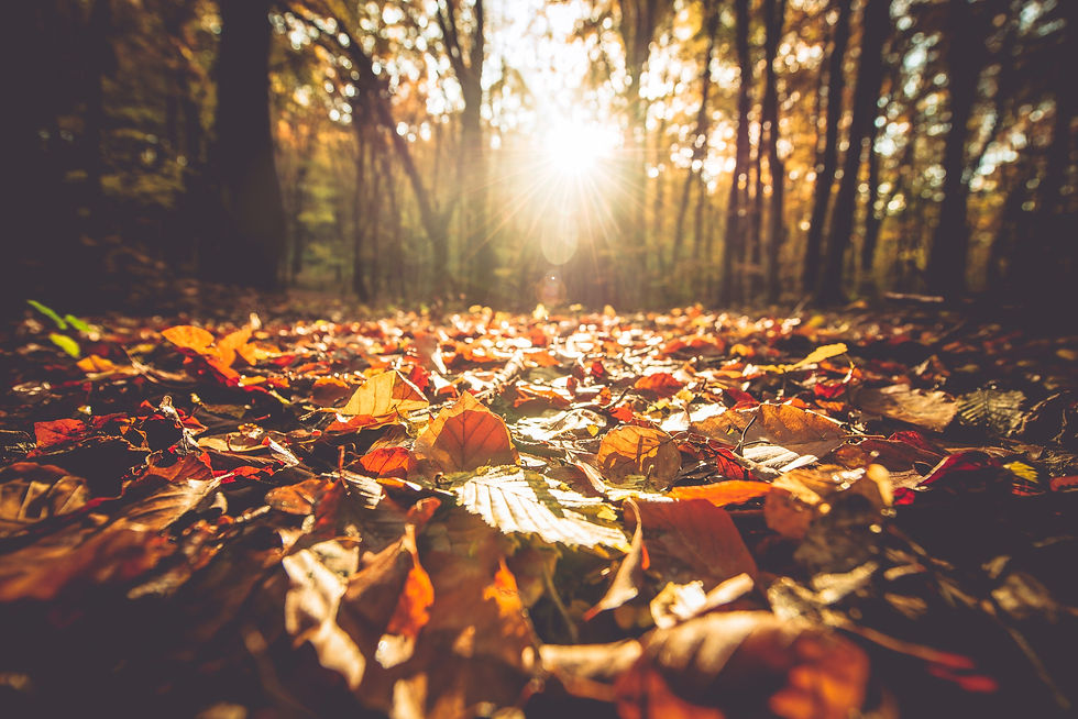 AdobeStock_125319866.jpeg