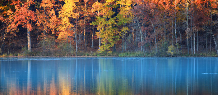 Autumn, Season of Harvest