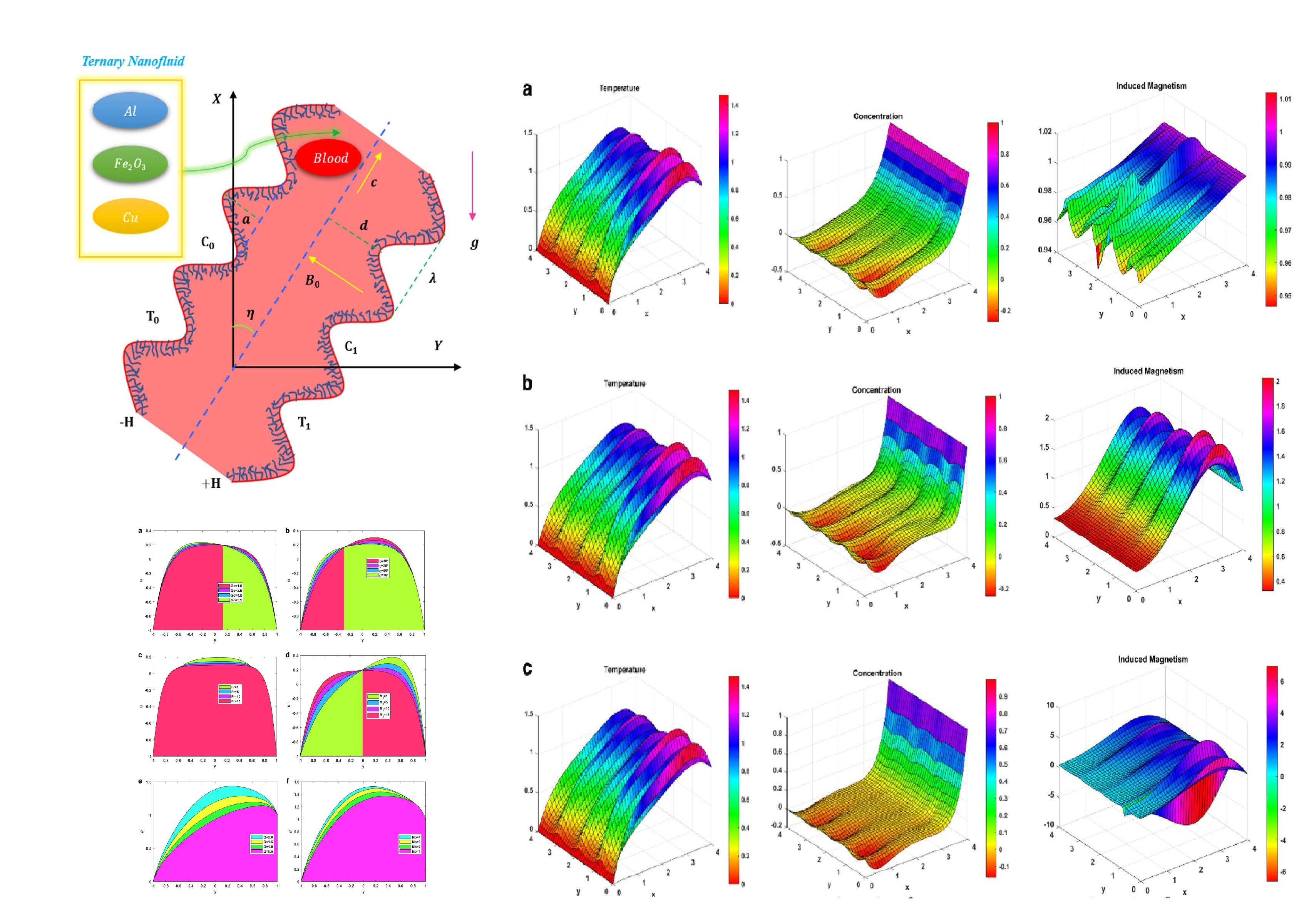 Tunable_spin-wave_resonance_and_chirality_control_in_concentric_nanotori_for_advanced_spin