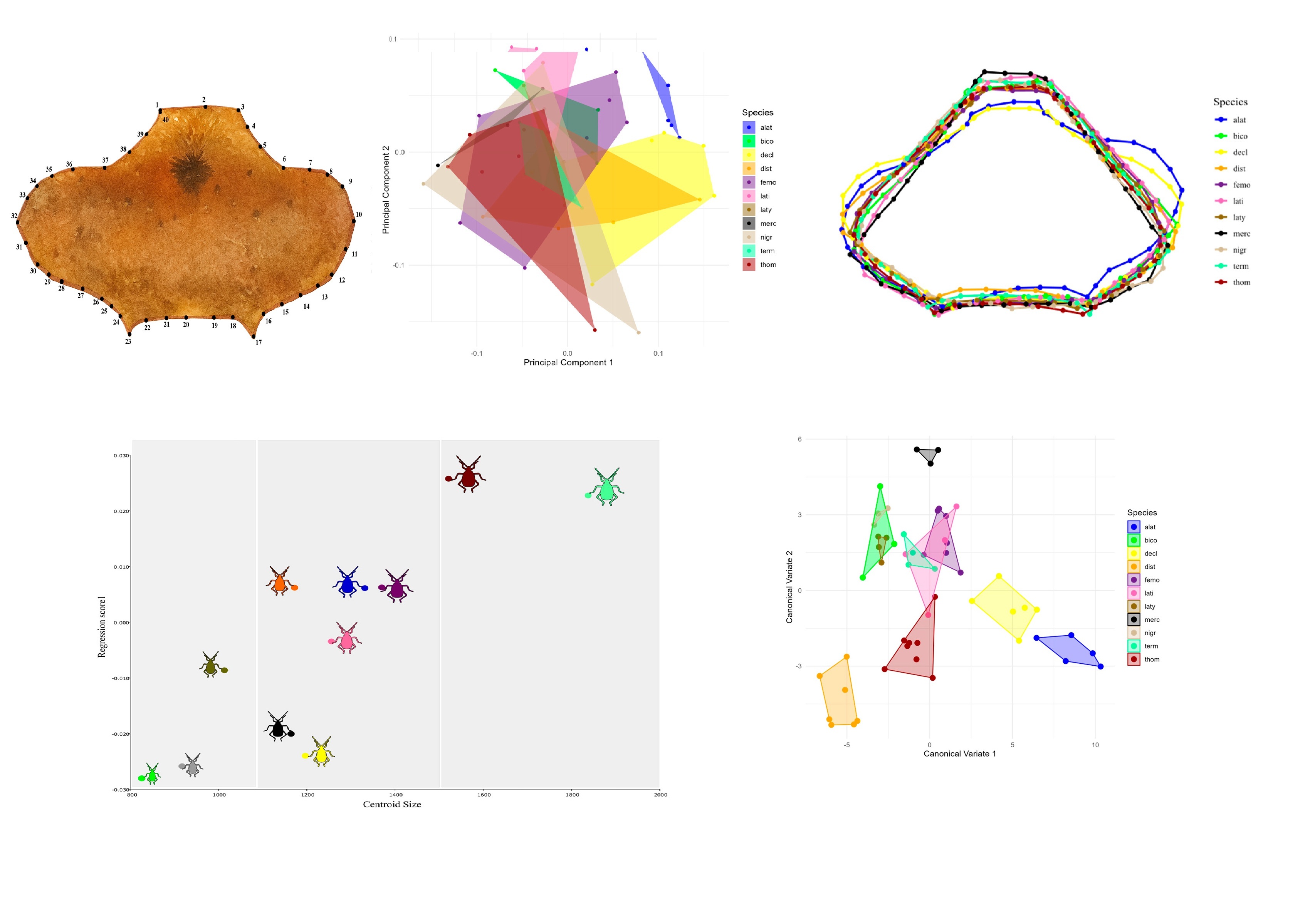 Tunable_spin-wave_resonance_and_chirality_control_in_concentric_nanotori_for_advanced_spin