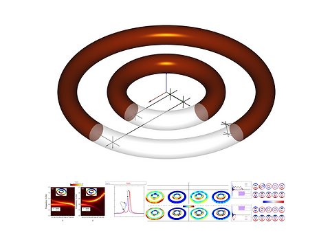 Tunable_spin-wave_resonance_and_chirality_control_in_concentric_nanotori_for_advanced_spin