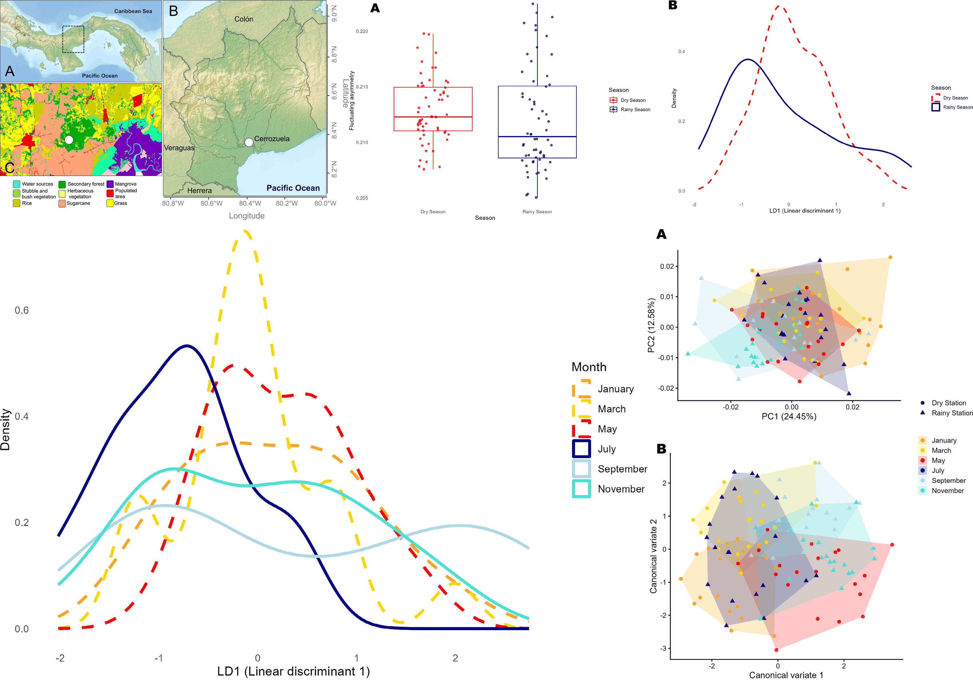 Tunable_spin-wave_resonance_and_chirality_control_in_concentric_nanotori_for_advanced_spin