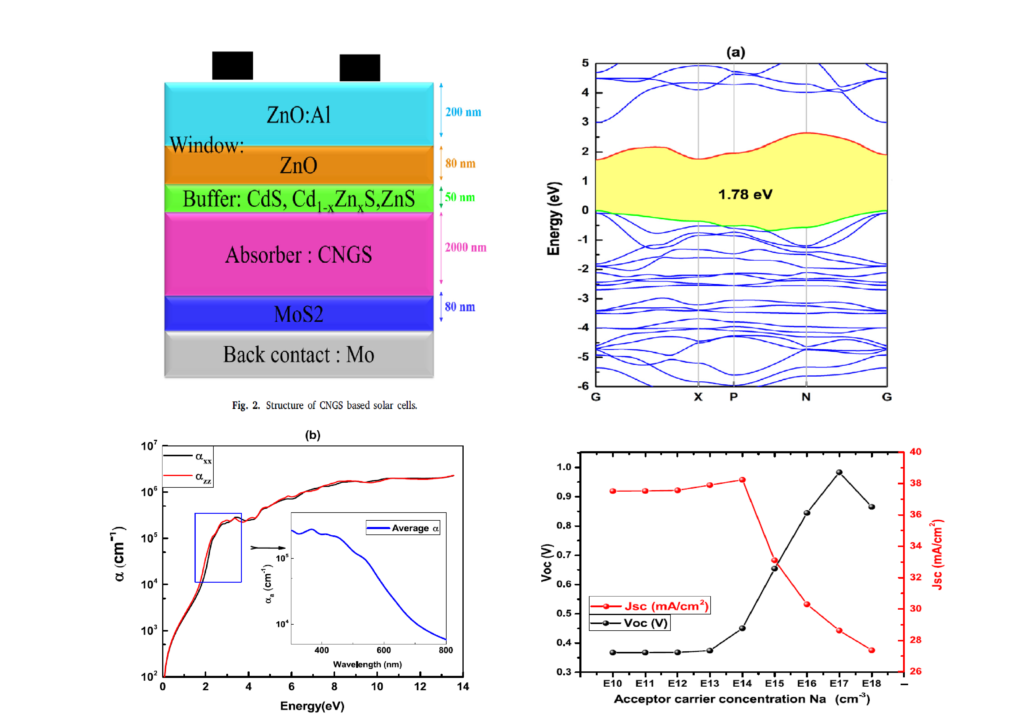 Tunable_spin-wave_resonance_and_chirality_control_in_concentric_nanotori_for_advanced_spin