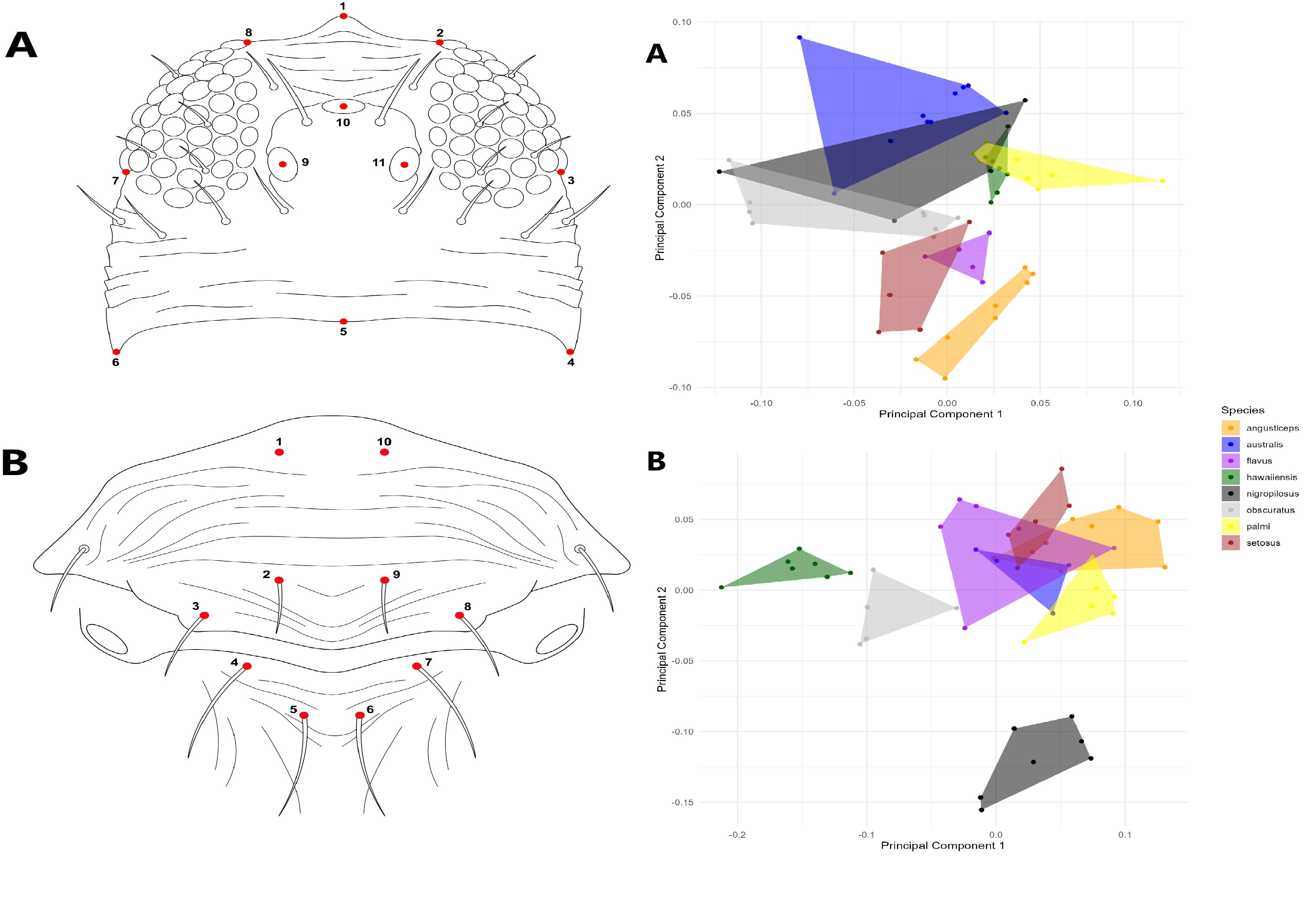 Tunable_spin-wave_resonance_and_chirality_control_in_concentric_nanotori_for_advanced_spin