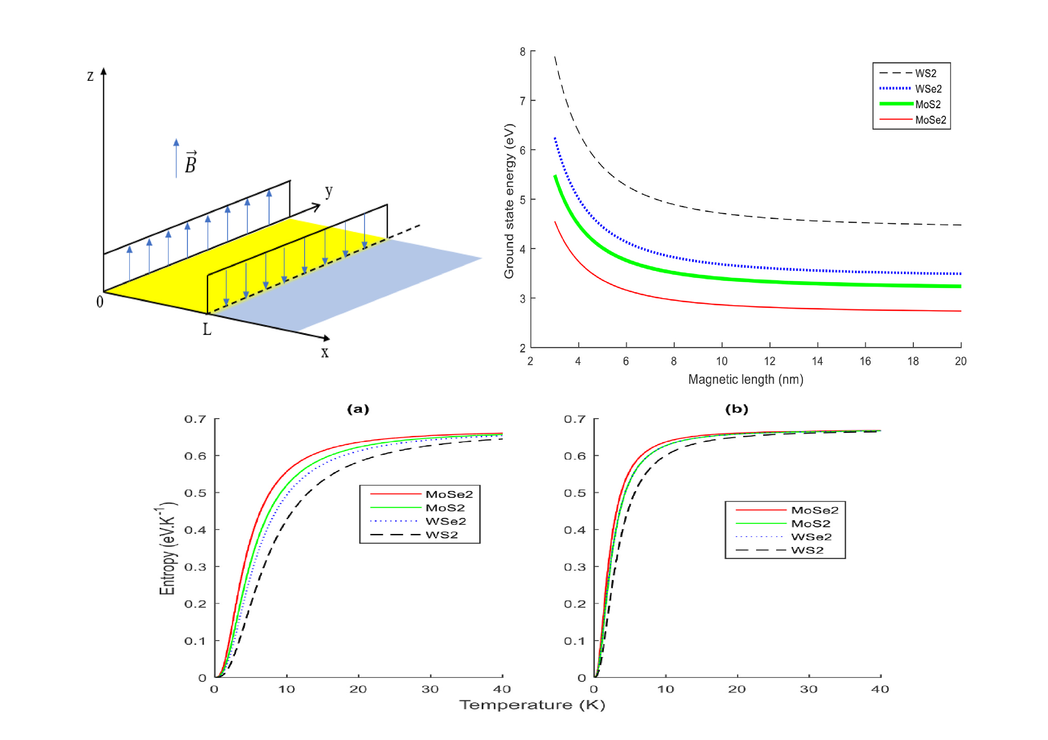 Tunable_spin-wave_resonance_and_chirality_control_in_concentric_nanotori_for_advanced_spin