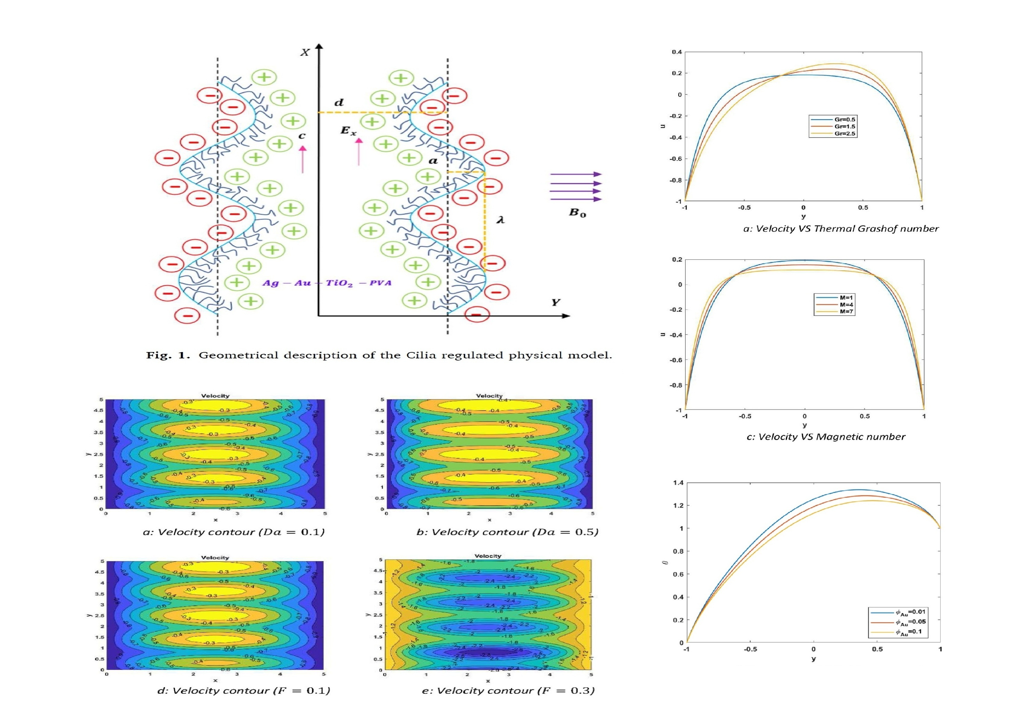 Tunable_spin-wave_resonance_and_chirality_control_in_concentric_nanotori_for_advanced_spin