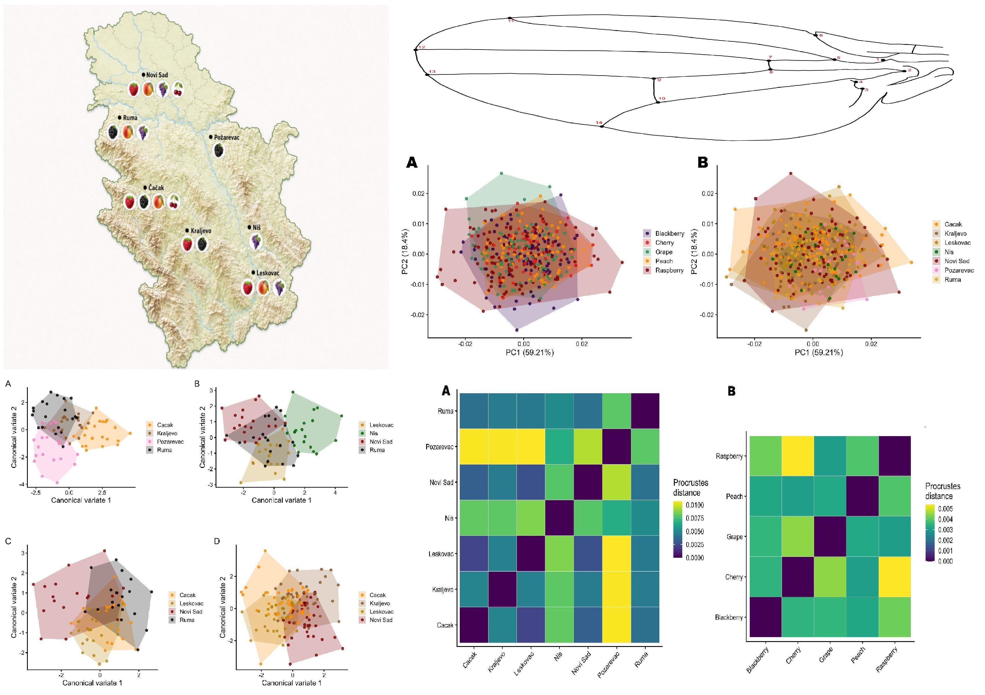 Tunable_spin-wave_resonance_and_chirality_control_in_concentric_nanotori_for_advanced_spin