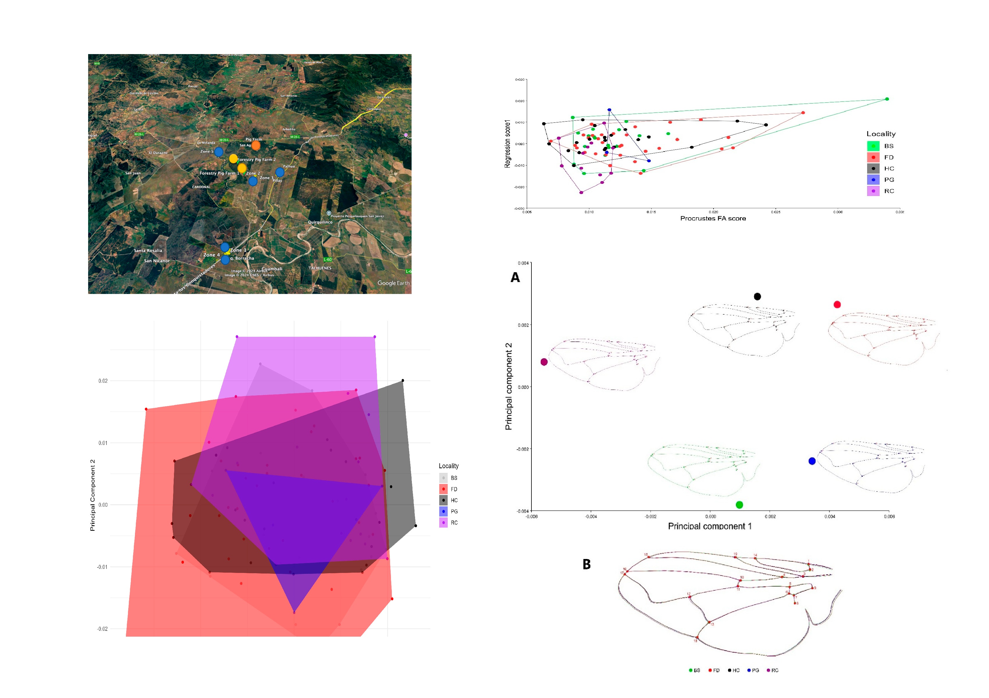 Tunable_spin-wave_resonance_and_chirality_control_in_concentric_nanotori_for_advanced_spin