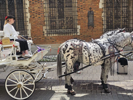 Escapadă de weekend în Cracovia