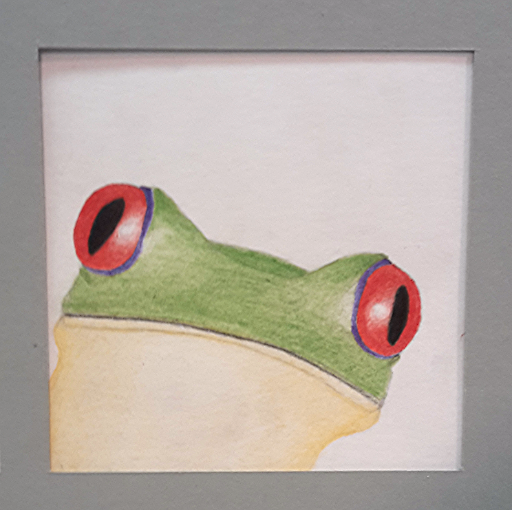 Groene kikker