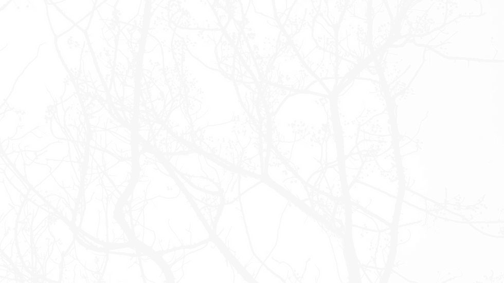 faded tree branches background