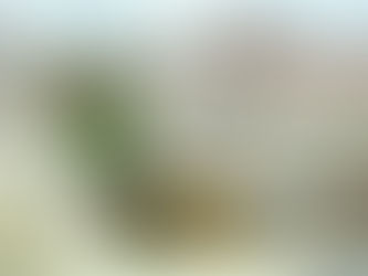 How to Maximize Profit on Rental Properties in Manila with BedandGo Real Estate: 3 Specialized Strategies for Property Management