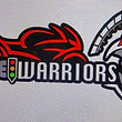 The Warriors Orissa.jpg