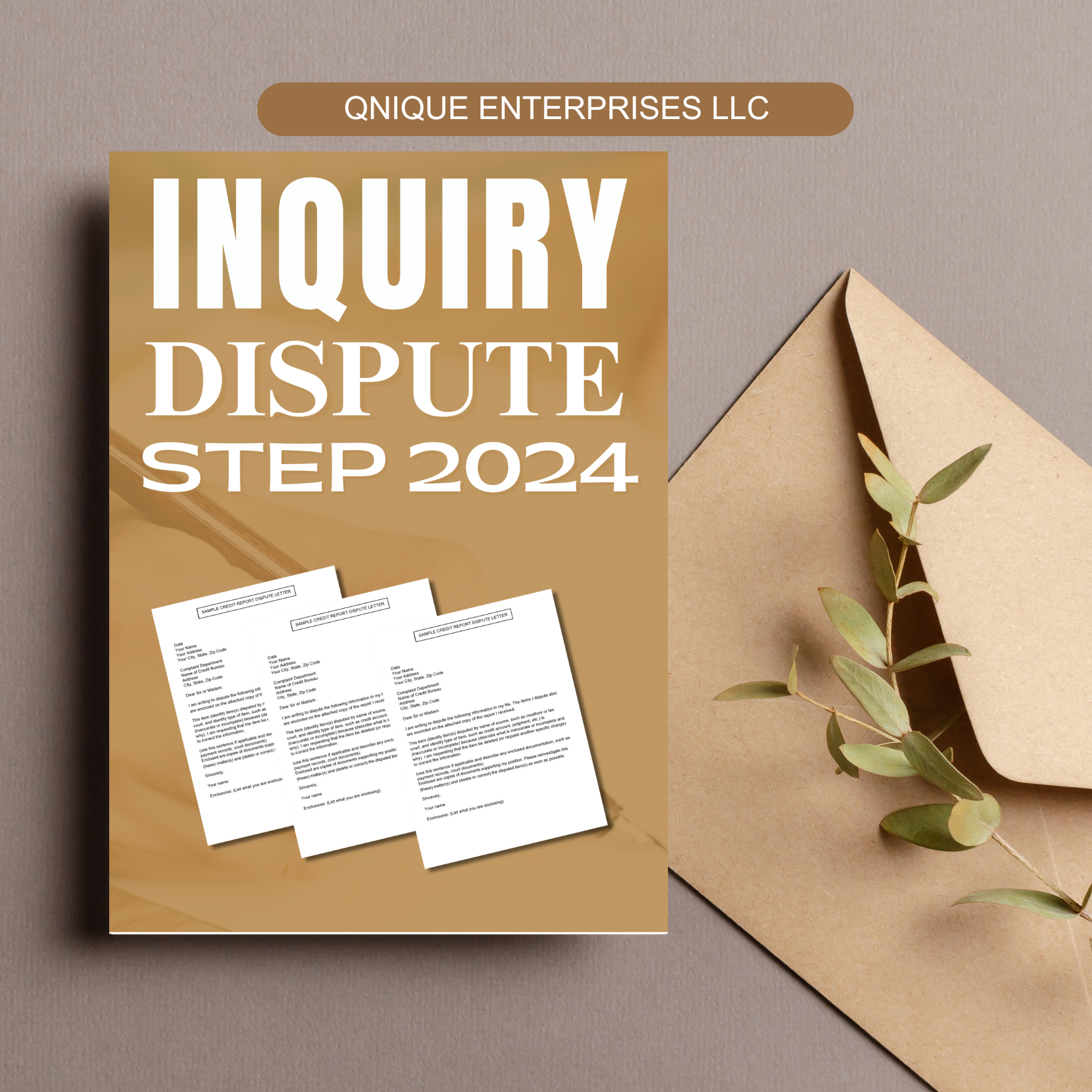 INQUIRY DISPUTE STEPS 2024