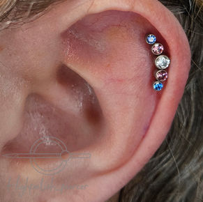 Helix piercing 5 gem cluster trans pride flag collection Neometal ASTM f136 titanium