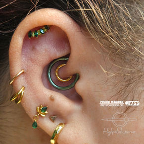 Yellow Gold Ear Curation Association of Professional Piercer APPMember Charleston WV Electric Sanctuary Tattoo Daith