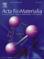 (2022) Acta Bio. Free radical-scavenging composite gelatin methacryloyl hydrogels for cell encapsula