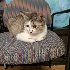 Nora 7.26.2026.jpg