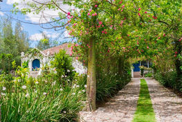 hotel-boutique-casa-de-hacienda-su-merced-galería-instalaciones-exteriores-1-1.jpeg