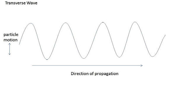 Transverse Wave.jpg