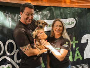 Andressa Bianchessi: uma trajetória dedicada à proteção animal
