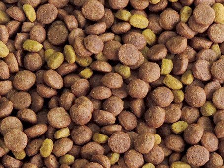 Ração animal será vendido no Armazém da Família