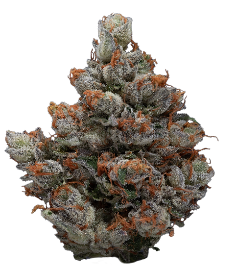 Gas Puffs_hi_res-d5-Harrison_r2_01C_9964.png