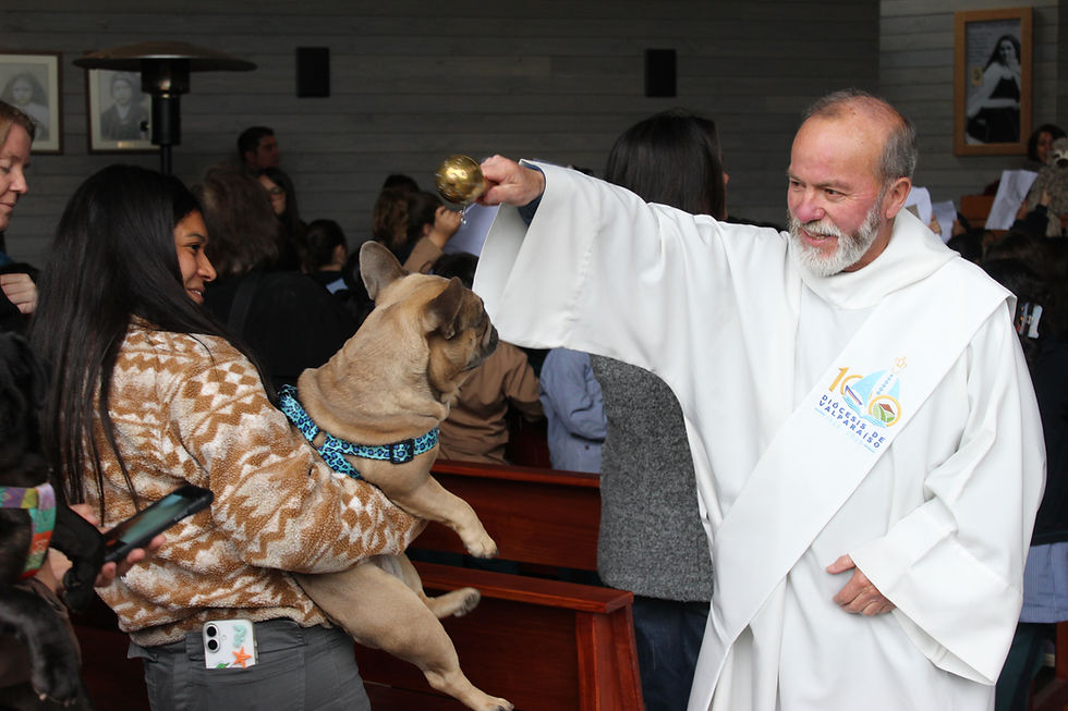 Bendición de Mascotas