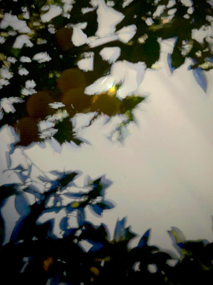 Untitled_Artwork.jpg