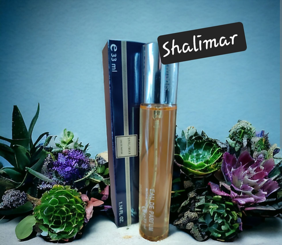 image de parfum 33 ml