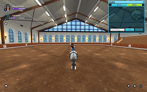 StarStable 2024-02-23 11-01-38.png