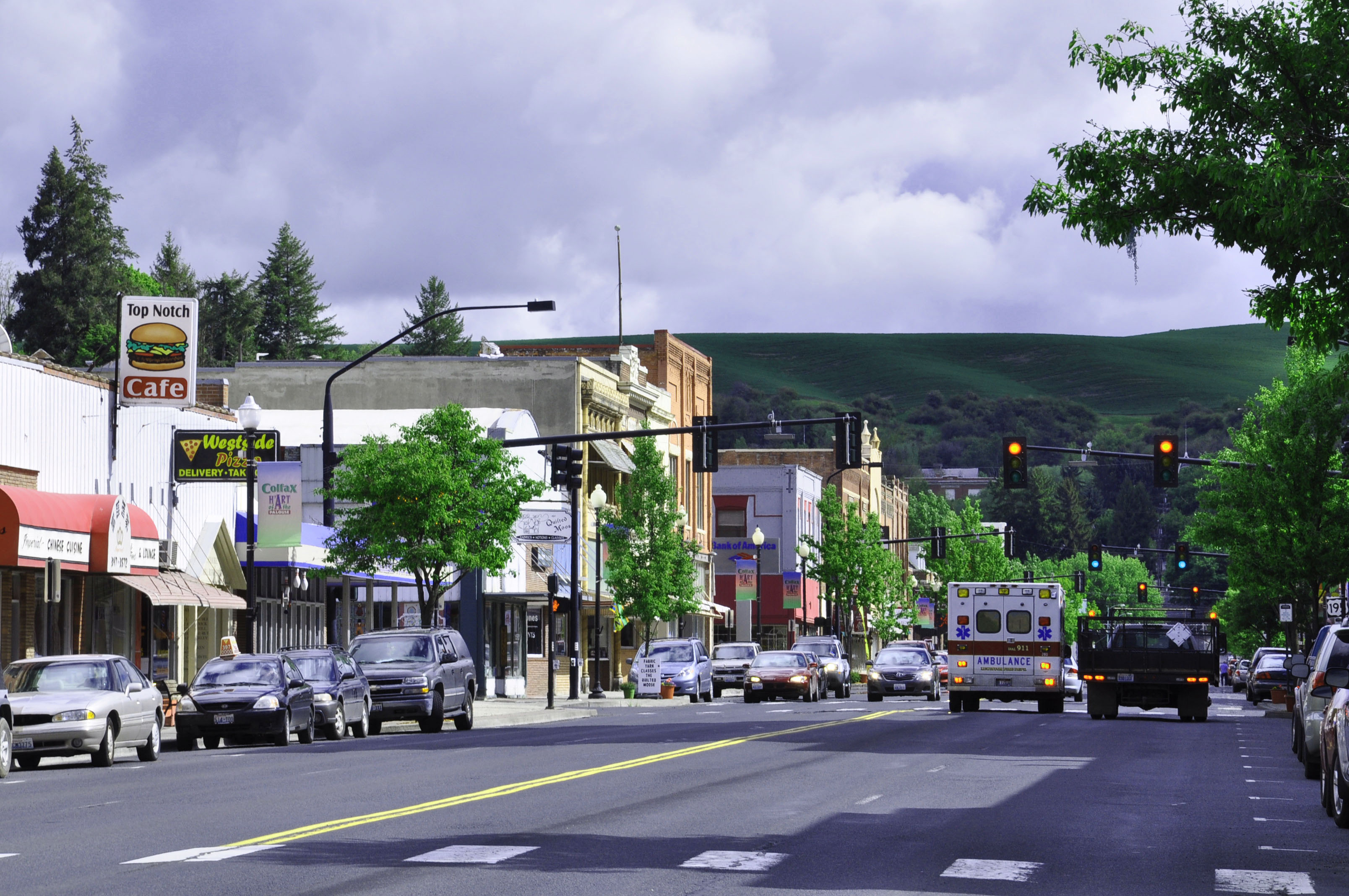 About Colfax, Washington United States