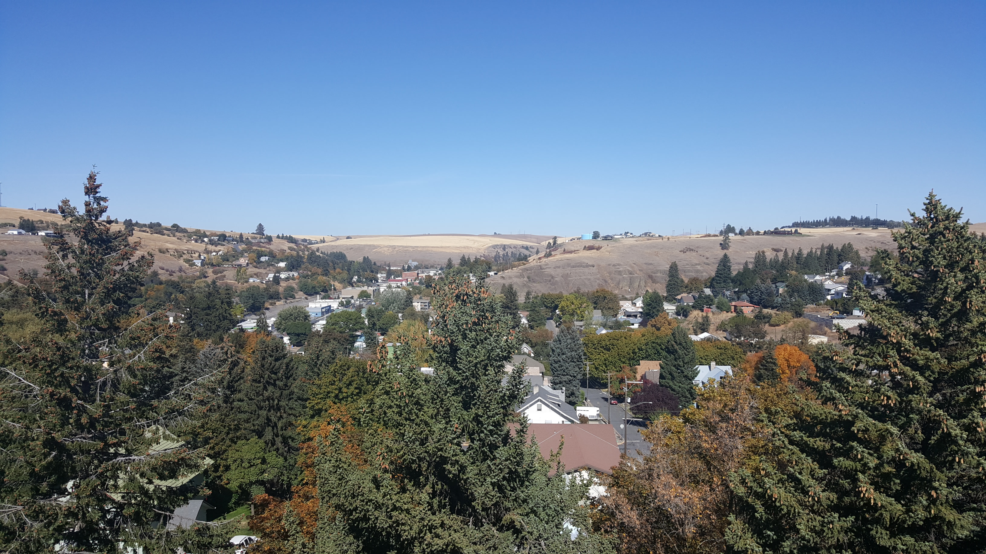 About Colfax, Washington United States
