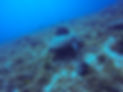 GOPR1441.JPG
