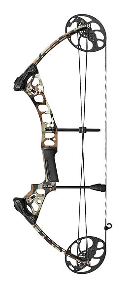 Radik_RealTree_Profile.jpg