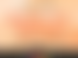 La société EXPREZIS vous attend au Baillée des filles aux Ponts de Cé !