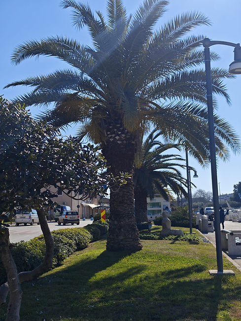 PHOTO-2025-12-29-16-04-02 3.jpg