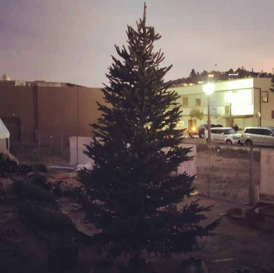 Screenshot 2025-11-18 194817